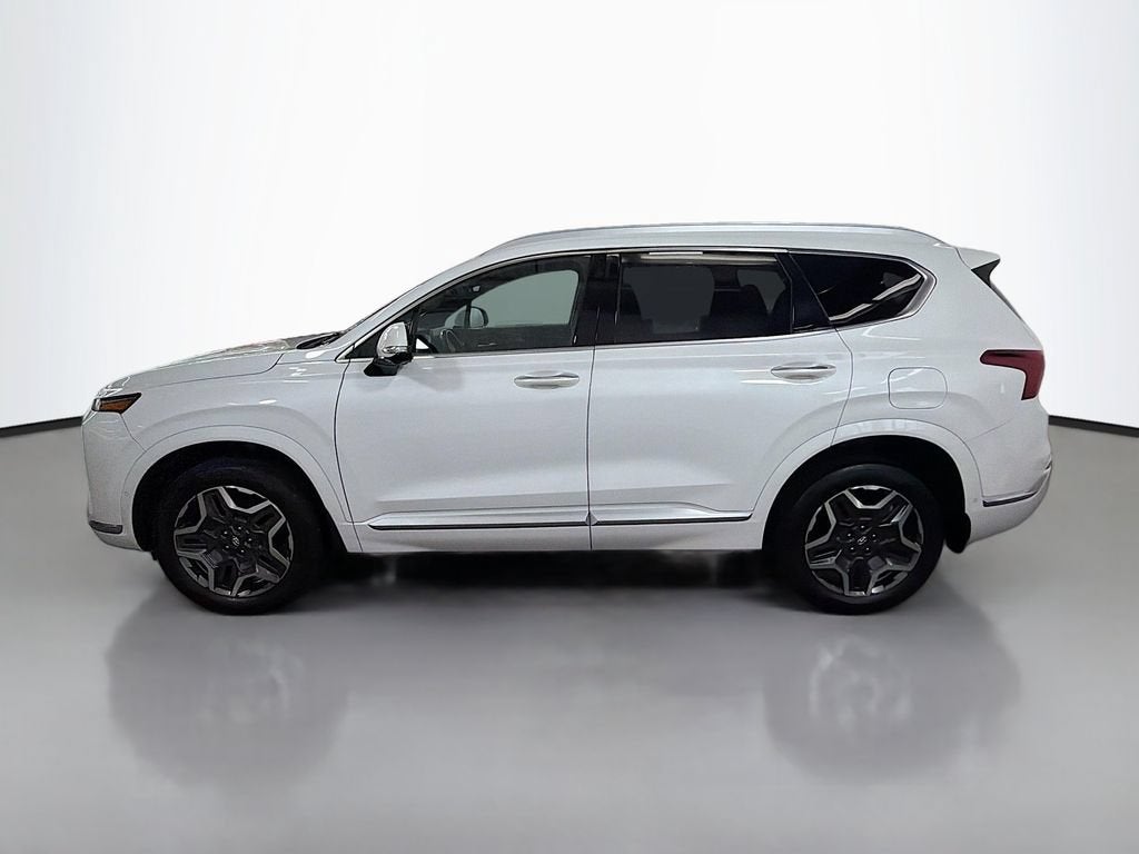 2021 Hyundai Santa Fe Calligraphy