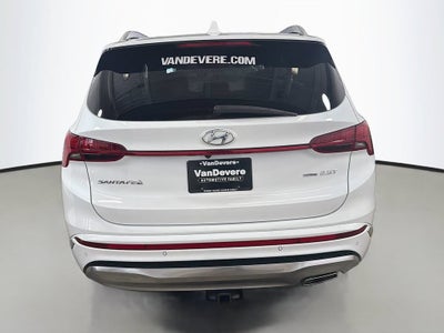 2021 Hyundai Santa Fe Calligraphy