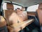2016 Toyota Sequoia Platinum